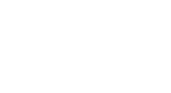 BF Connect logo blanc